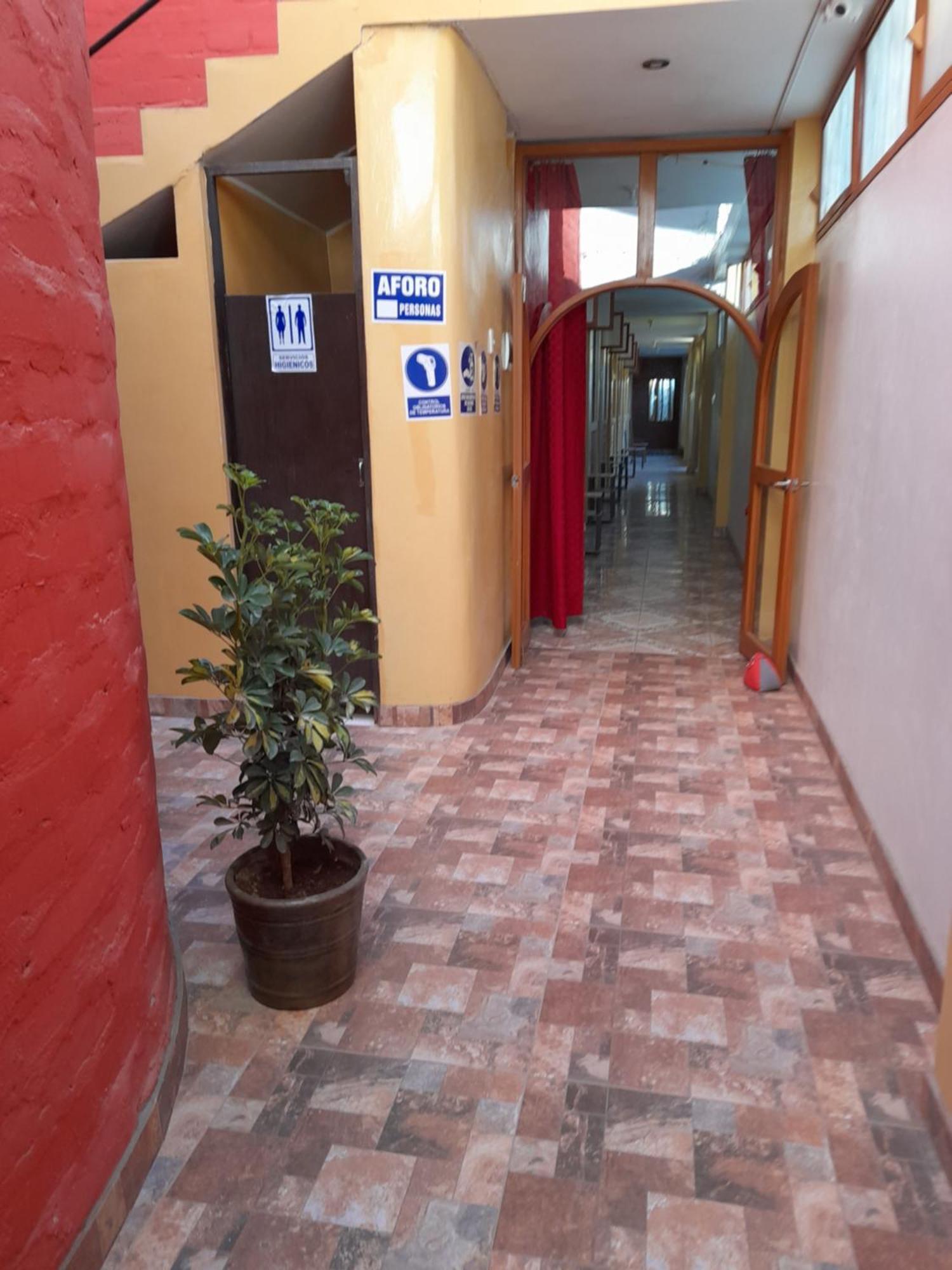Nasca Trails B&B Nazca Exterior foto