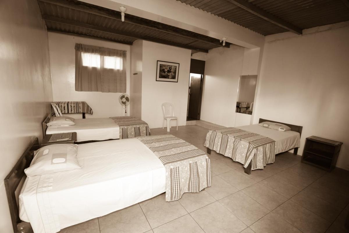 Nasca Trails B&B Nazca Exterior foto